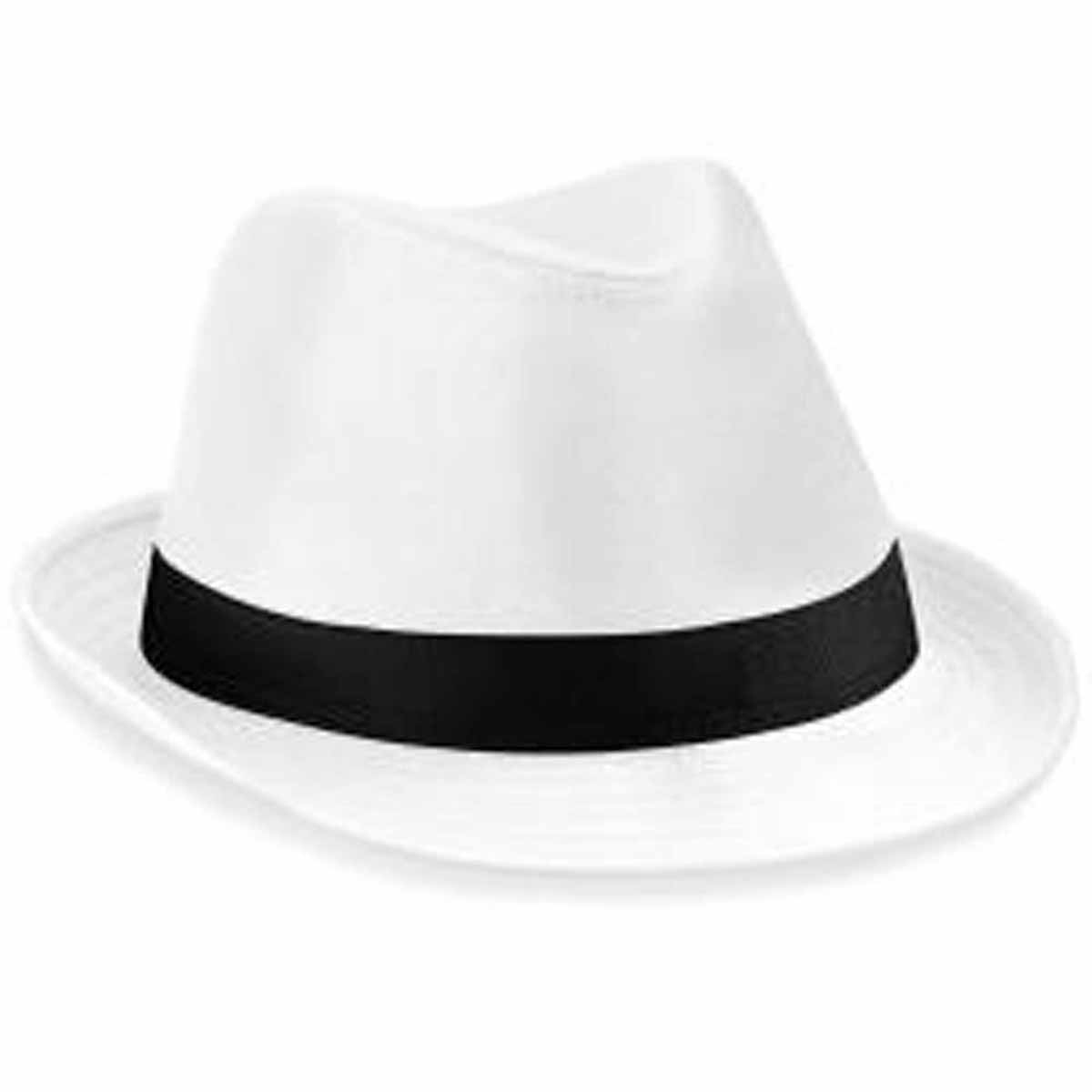 chapeau-blanc-151aia-1.jpg